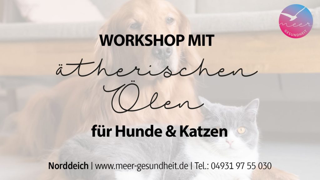 Workshop mit ätherischen Ölen für Hunde & Katzen – meer-gesundheit.de